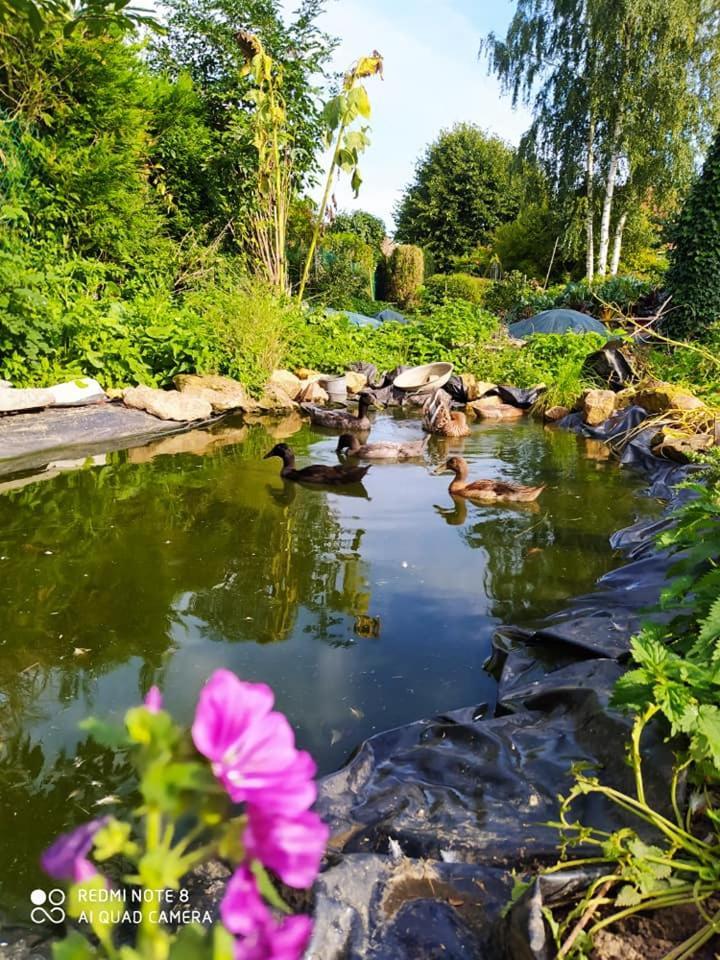 Tente Mongole 4 Saisons Cosy Et Spacieux Conchy-les-Pots ภายนอก รูปภาพ